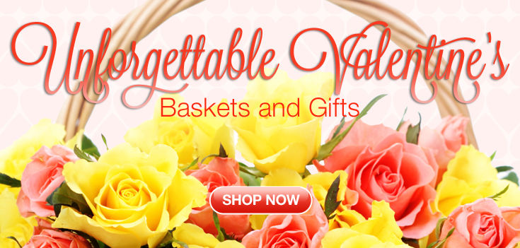 Baskets - 