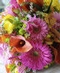 Flowers for a Year