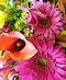 Floral Designs