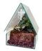 Terrariums
