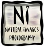 Natural Images