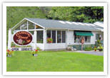 Flushing Florist