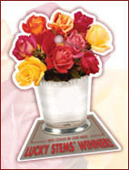 Lucky Stems&reg;