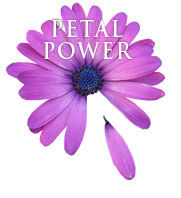 Petal Power