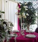 Special Events