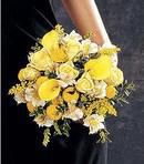 Gold and Lemon