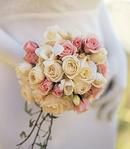 Lush and Lovely