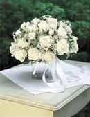 Elegant Roses