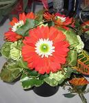 Centerpiece