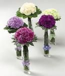 Carnation Bouquets