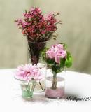 Portique 2