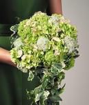 Hydrangea, Viburnum and Queen Anne's Lace with Ivy Cascade