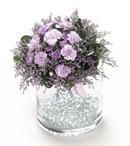 Lavender Miniature Carnation