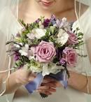 Lavender Rose and Freesia