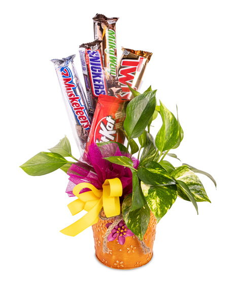 Planted Appreciation