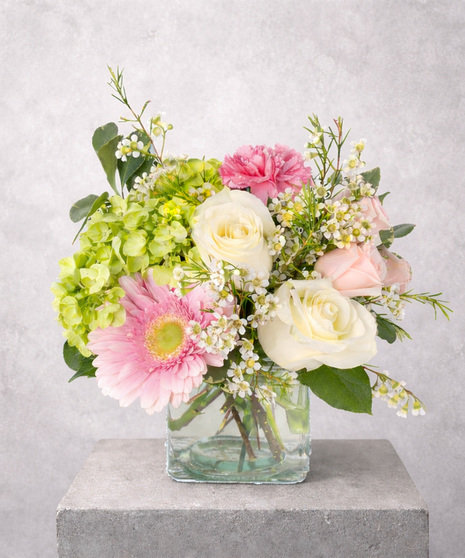 Rose, Gerbera Daisy and Hydrangea Arrangement