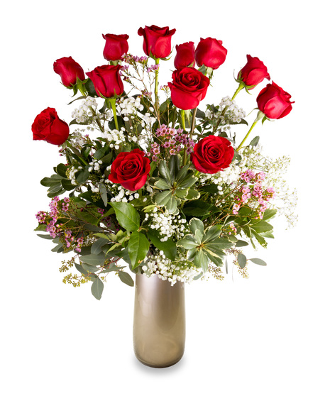 Passionate Premium Red Dozen - Long Stem Roses