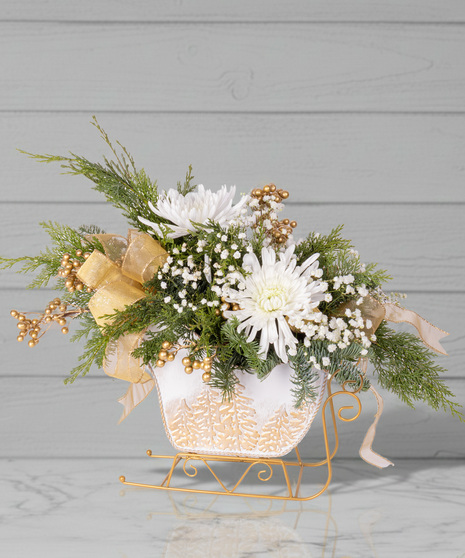 Cozy Christmas Sleigh